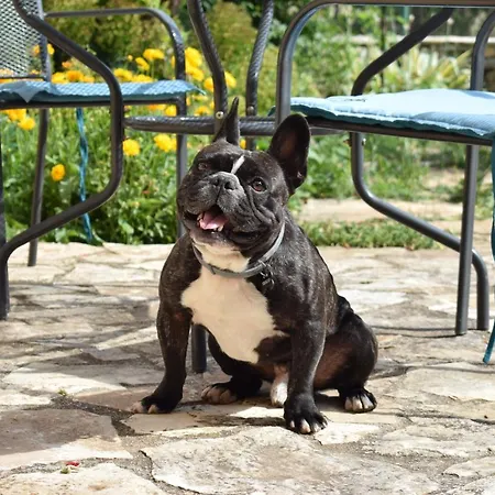 Penzion Matanovi Dvori-krka National Park Lozovac