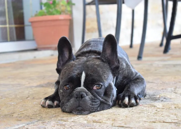 Matanovi Dvori-krka National Park בית הארחה לוזובאק