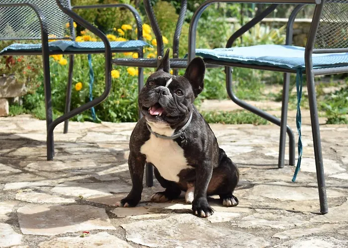 Гостевой дом Matanovi Dvori-krka National Park Лозовац