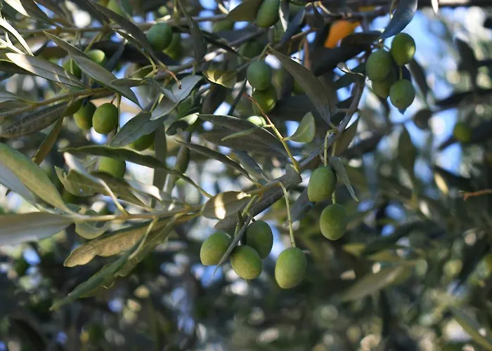 Matanovi Dvori-krka National Park בית הארחה